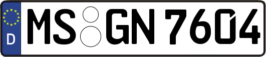 MS-GN7604