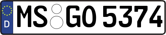 MS-GO5374