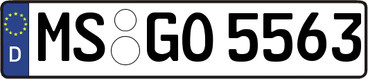 MS-GO5563