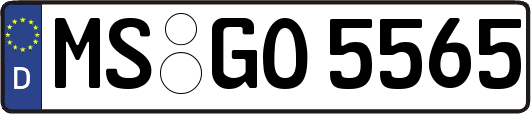 MS-GO5565