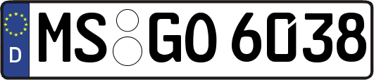 MS-GO6038