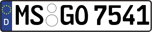 MS-GO7541