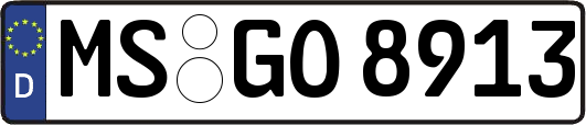 MS-GO8913