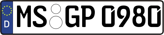 MS-GP0980