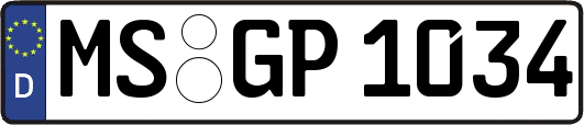 MS-GP1034