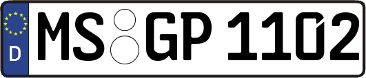 MS-GP1102