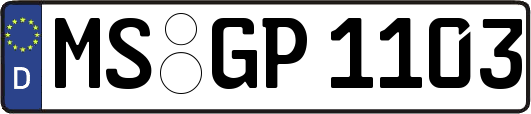 MS-GP1103
