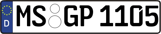 MS-GP1105