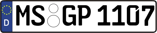 MS-GP1107