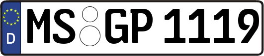 MS-GP1119