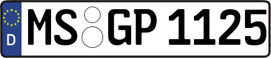 MS-GP1125