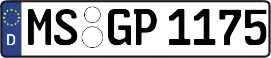 MS-GP1175