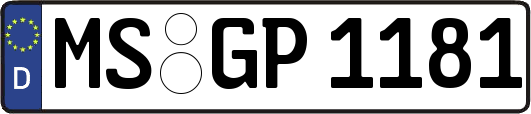 MS-GP1181