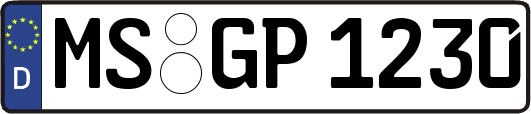 MS-GP1230