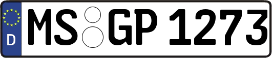 MS-GP1273