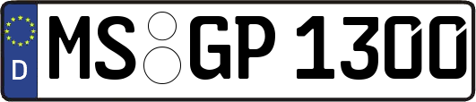 MS-GP1300