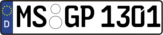 MS-GP1301