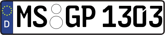 MS-GP1303