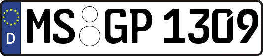 MS-GP1309