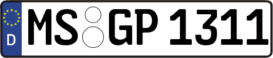 MS-GP1311