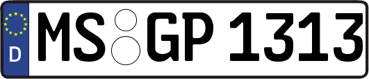 MS-GP1313
