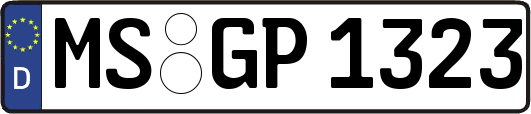 MS-GP1323