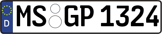 MS-GP1324