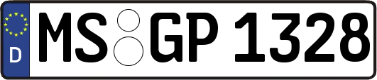 MS-GP1328