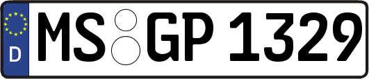MS-GP1329