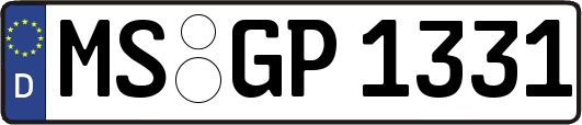 MS-GP1331