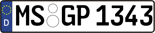 MS-GP1343