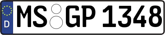 MS-GP1348