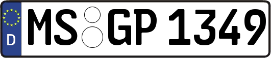 MS-GP1349