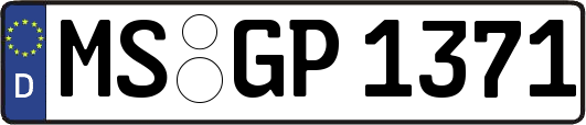 MS-GP1371