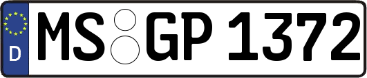 MS-GP1372