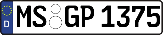 MS-GP1375