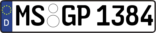 MS-GP1384
