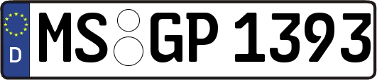 MS-GP1393