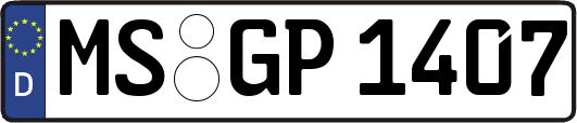 MS-GP1407