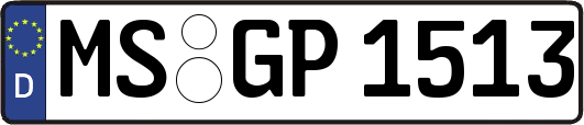 MS-GP1513