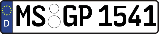 MS-GP1541