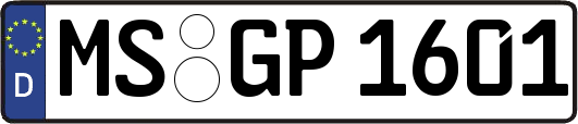 MS-GP1601