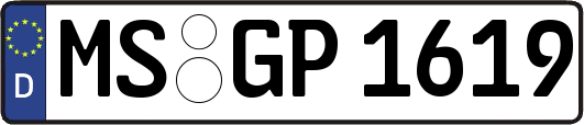 MS-GP1619