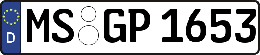MS-GP1653