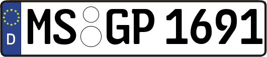 MS-GP1691