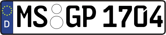 MS-GP1704