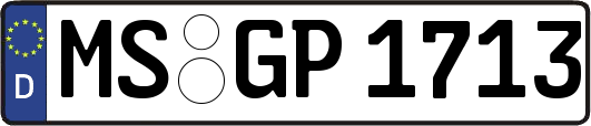 MS-GP1713