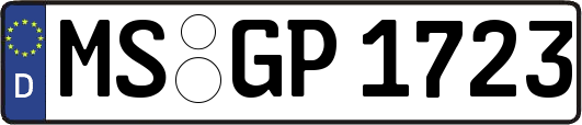 MS-GP1723