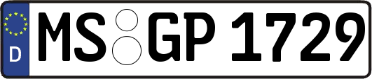 MS-GP1729