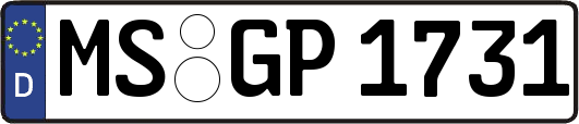 MS-GP1731